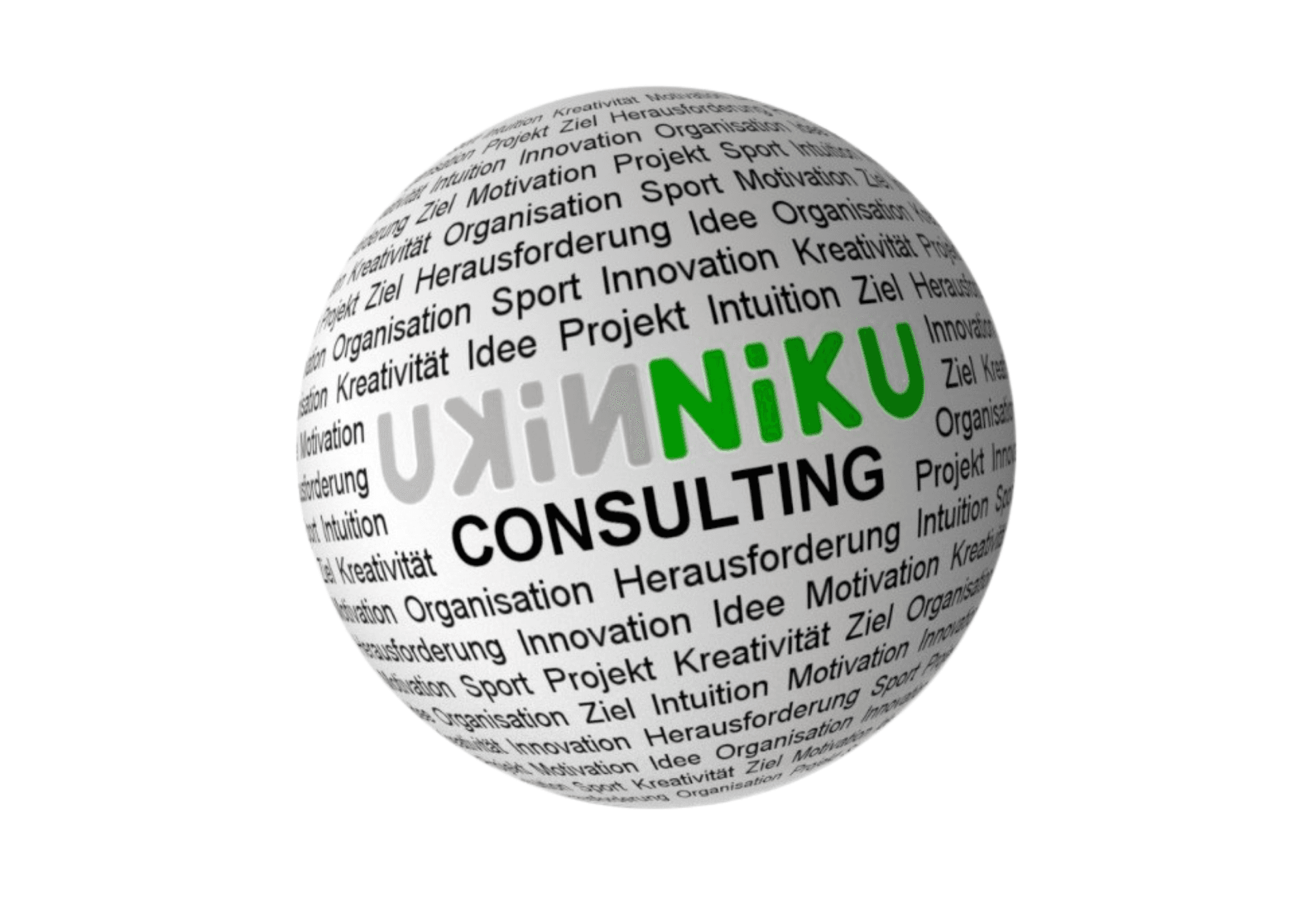 Niku Consulting GmbH